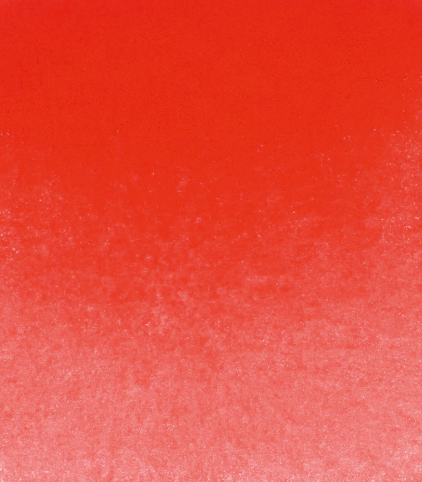 Schminke 365 Bermellon Godet entero