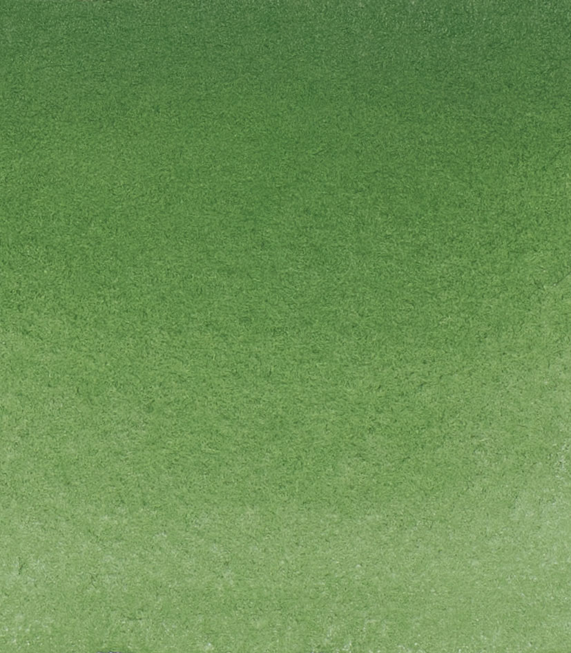 Schminke 512 Verde oxido de cromo 15ml