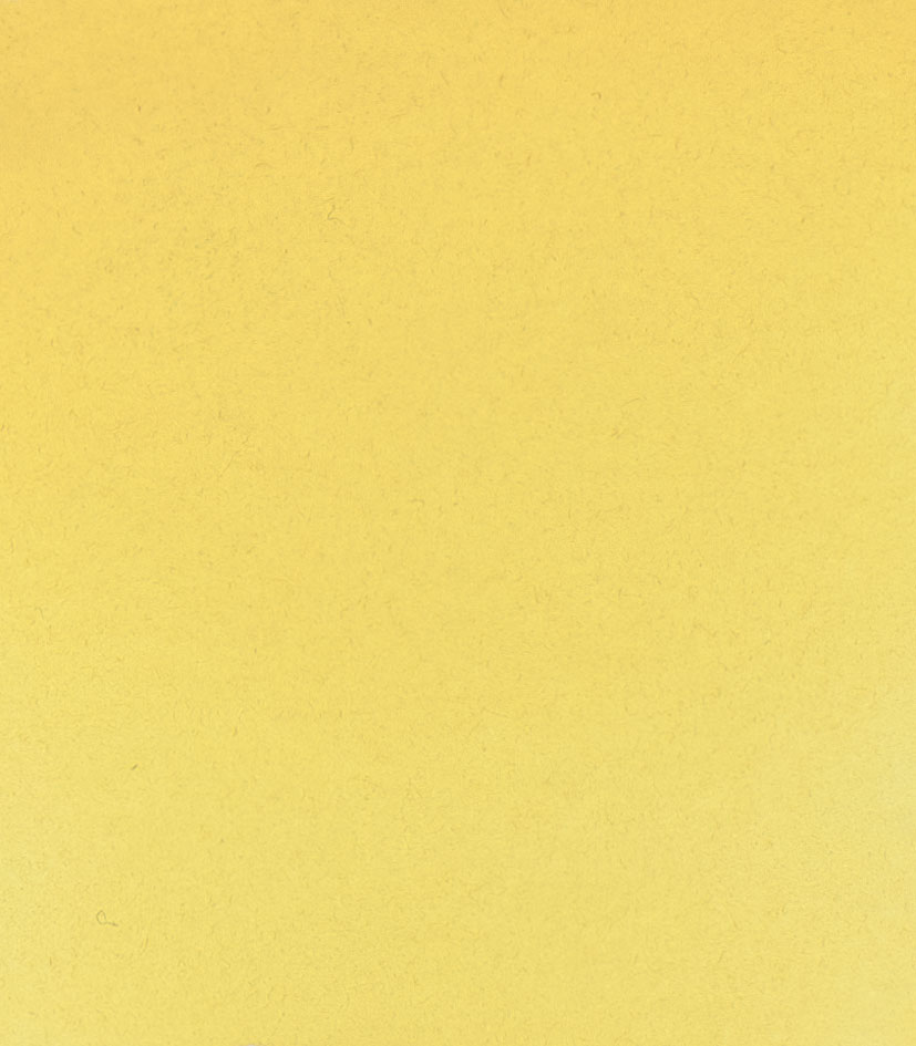 Schminke 205 Amarillo rutilo 15ml