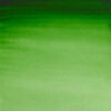W&N Profesional Verde Hooker 311 15ml