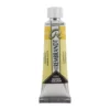 Acuarela Rembrandt Gamaguta 238 10ml