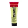 Amsterdam Tubo 20 ml Amarillo Verdoso 243