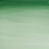 Acuarela Cotman Verde oscuro de Hooker 1/2 godet