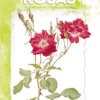 Libro Liquidacion
