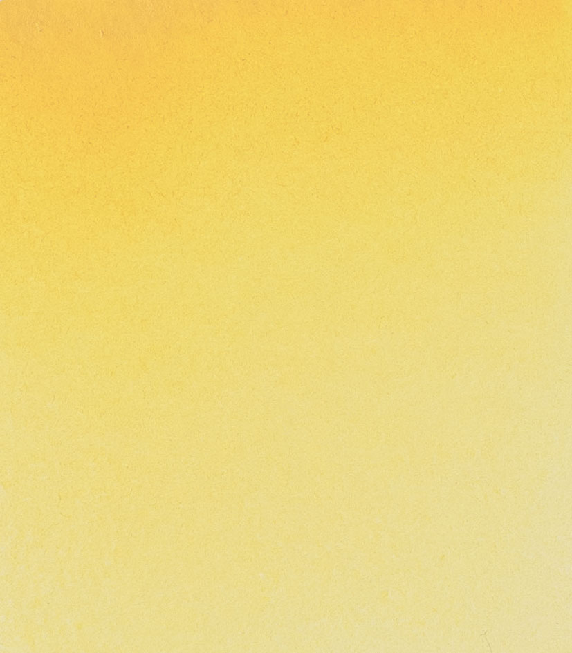 Schminke 221 Amarillo brillante oscuro 5ml