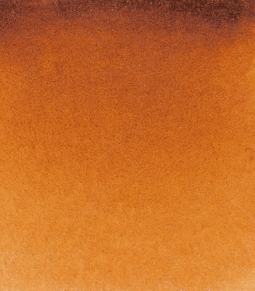 Schminke 654 Marron dorado Godet entero